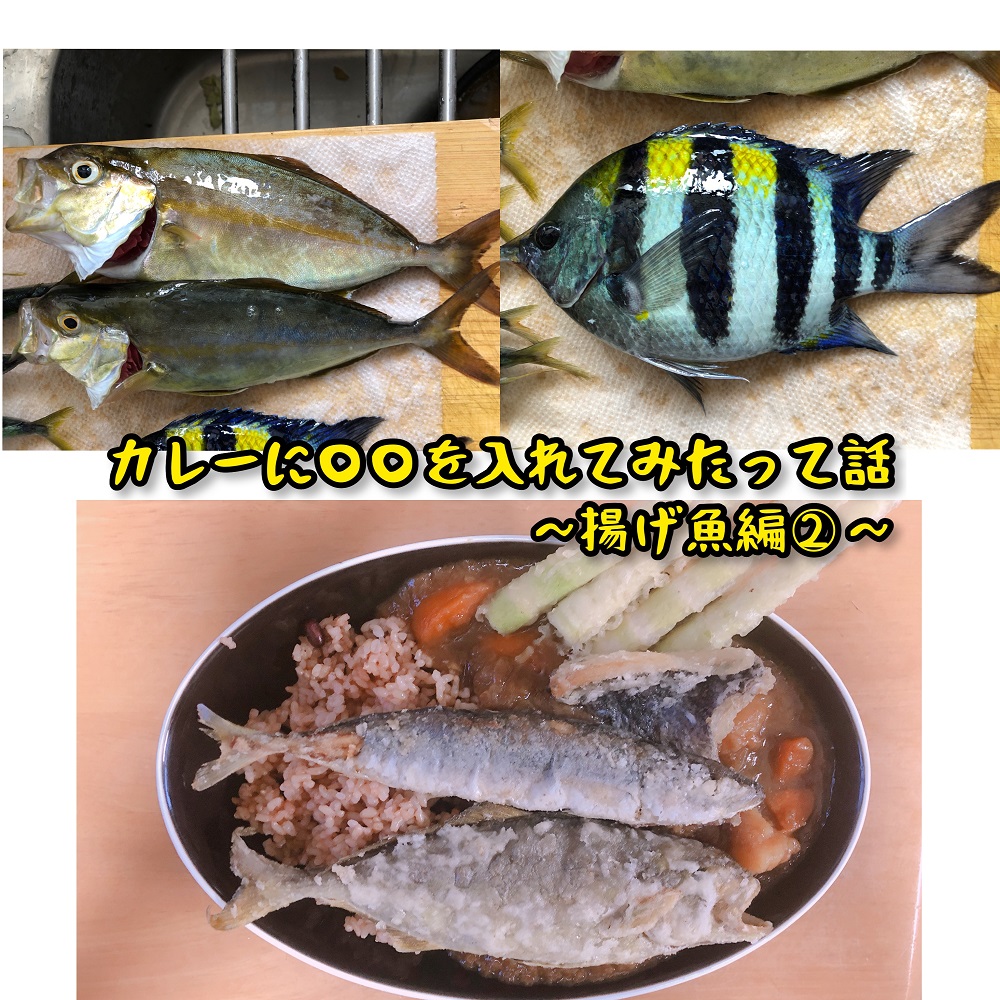 カレーに を入れてみたって話 揚げ魚編